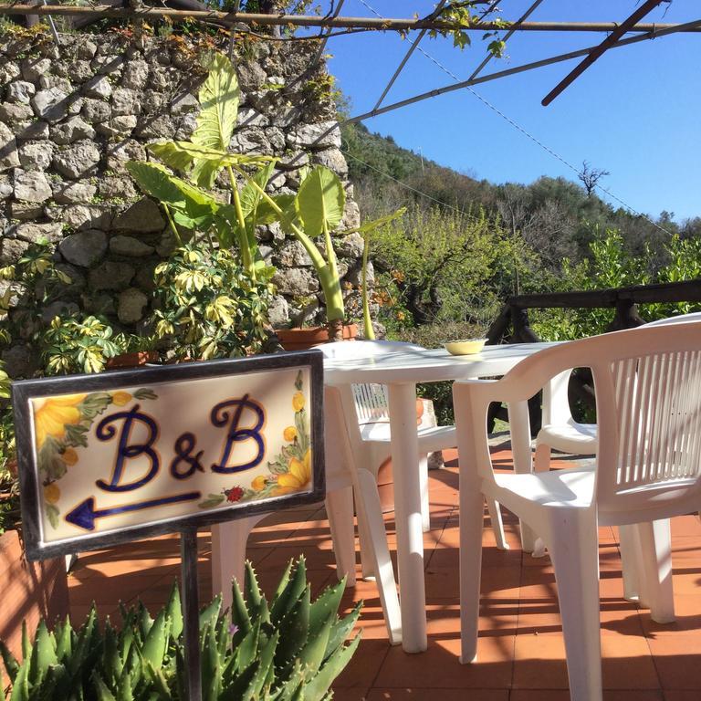 B&B Le Tre Casette マラテーア エクステリア 写真