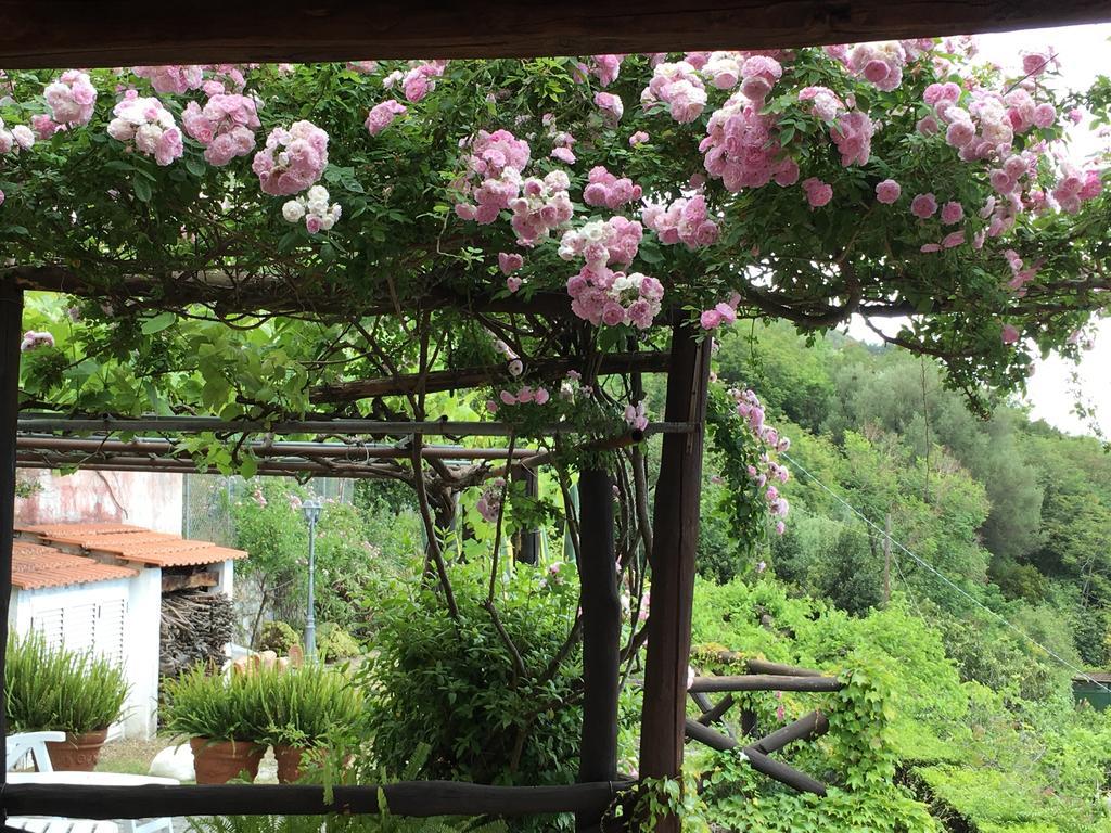 B&B Le Tre Casette マラテーア エクステリア 写真